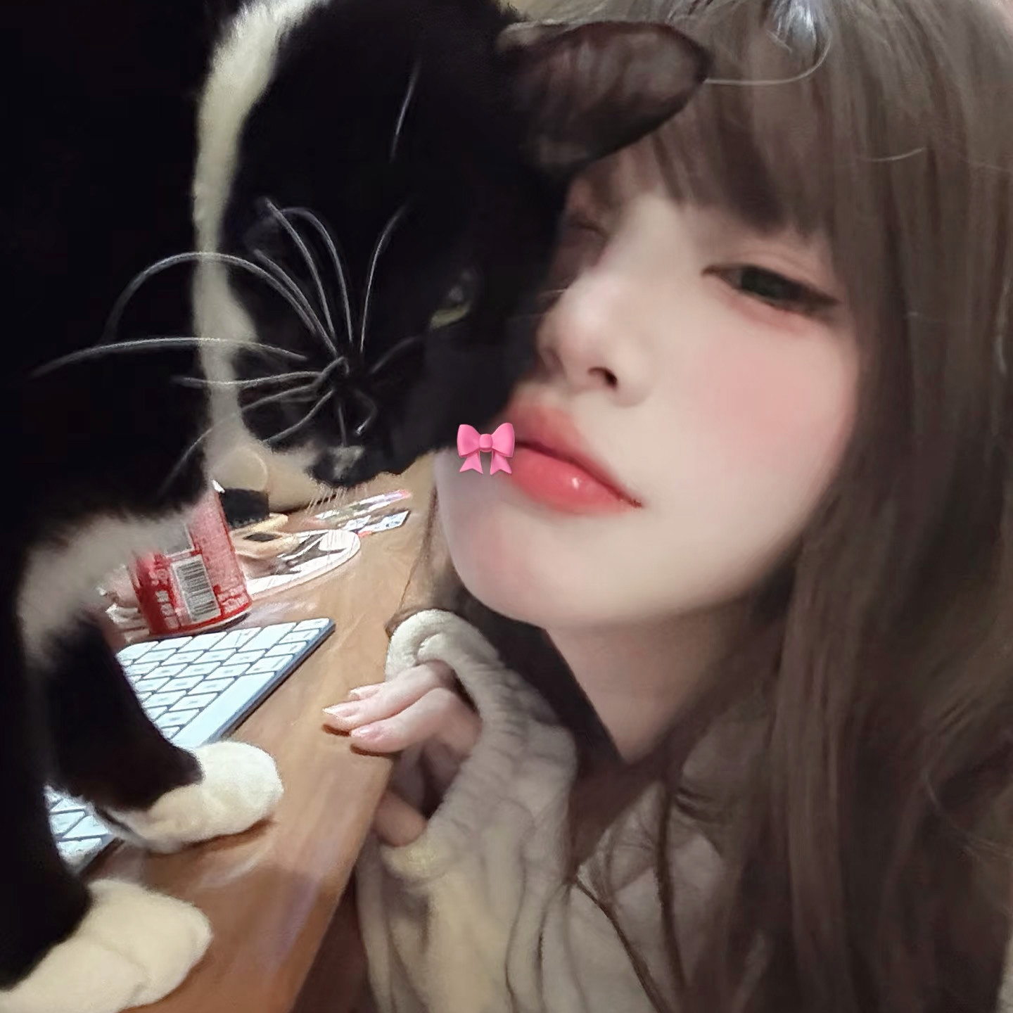 一本道官网地址